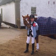 Welsh Pony (sec B) Kirkelodgaards Mischa