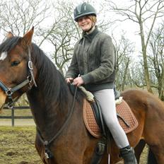 Dansk Varmblod Stenager's Remember Me