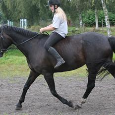 Anden særlig race Frk. Smilla <3. Part