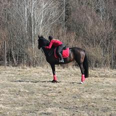 Anden særlig race Frk. Smilla <3. Part