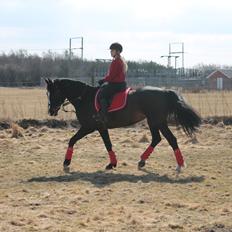 Anden særlig race Frk. Smilla <3. Part