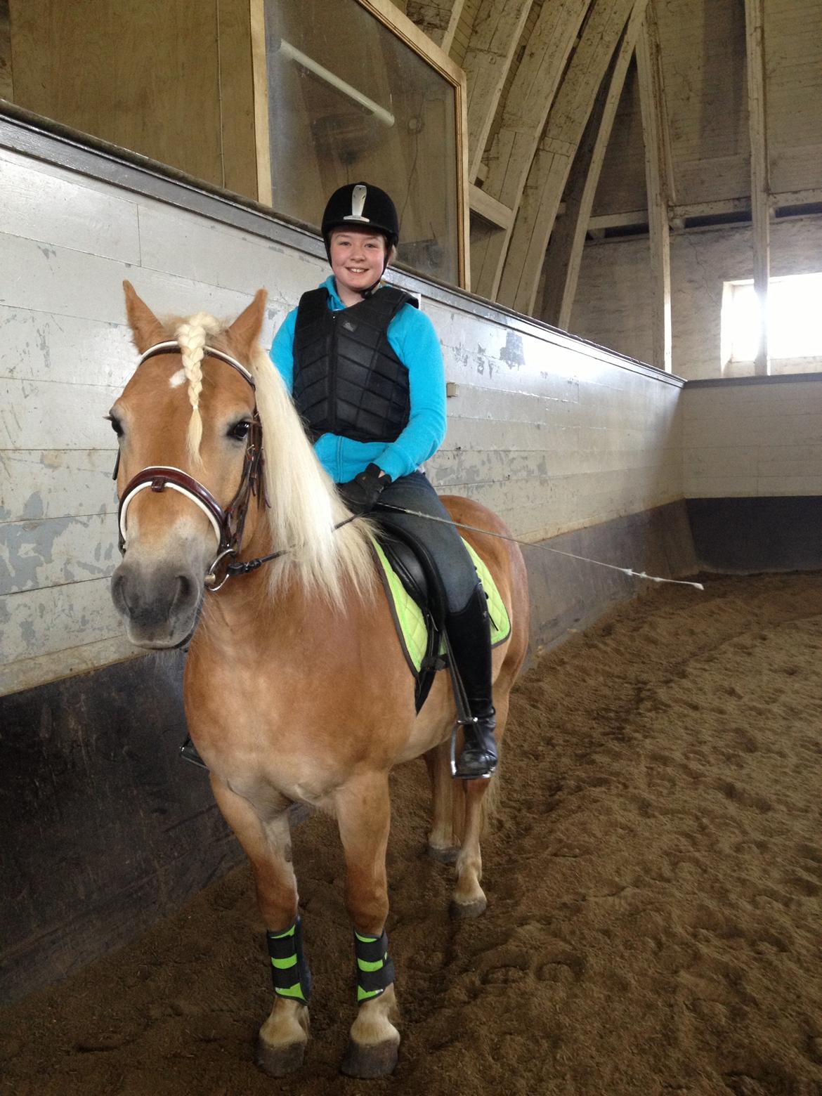 Haflinger Simba (Laffe) - Jeg elsker dig <3 billede 1