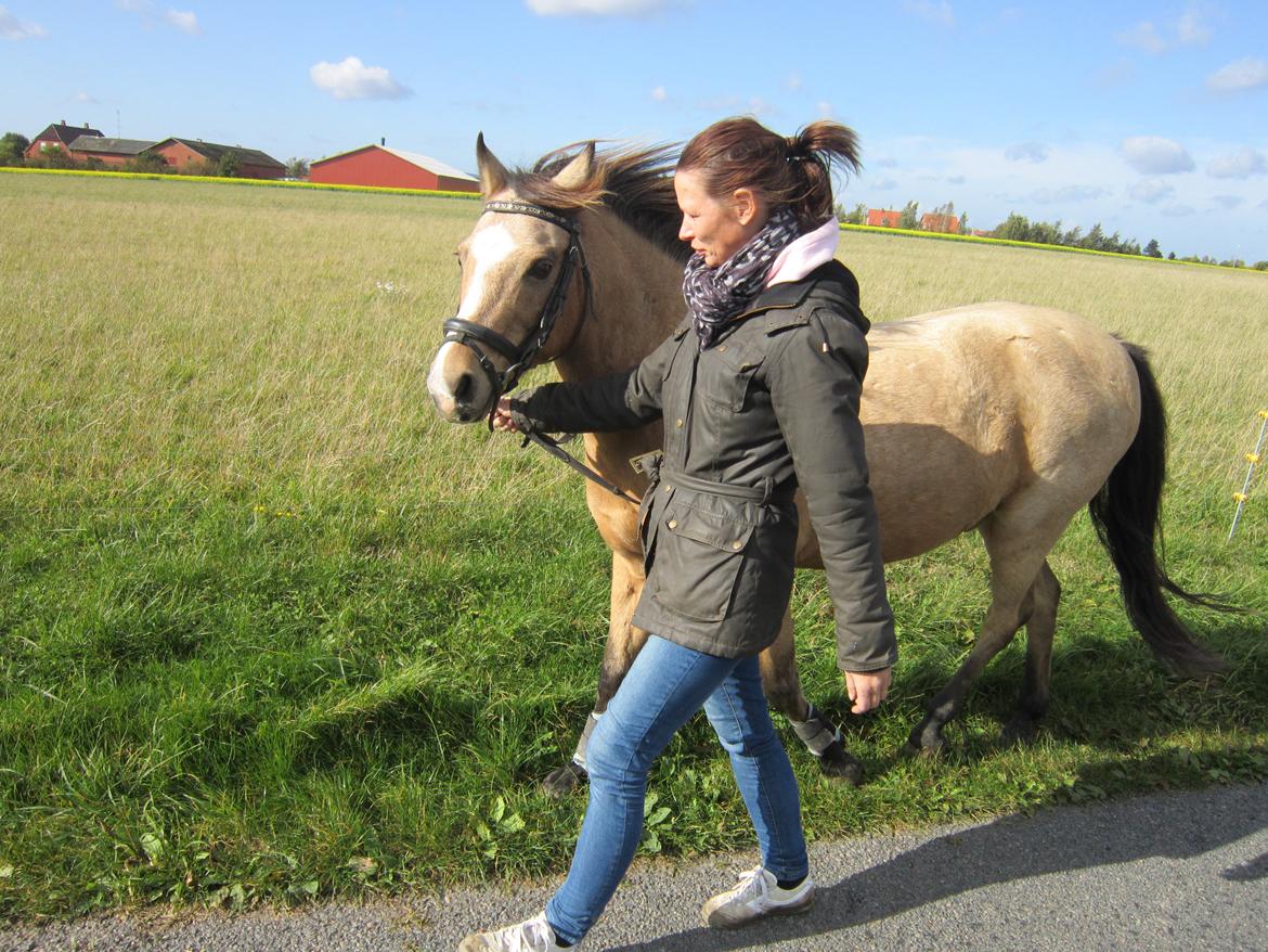 Anden særlig race Ramino billede 17