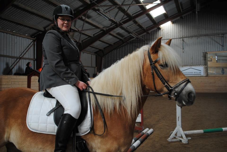 Haflinger Sabrina - dig elsker jeg! <3 billede 9