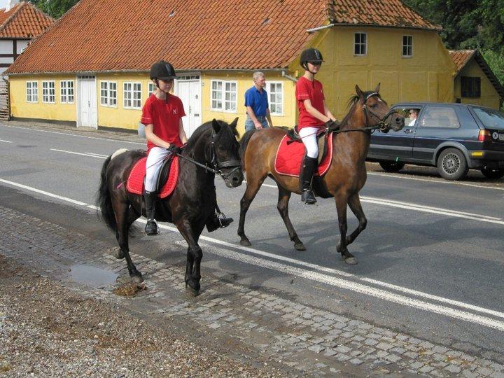 Dartmoor Valle af Fæbæk - Da vi red igennem Tranekær på vej til ringridning. billede 18