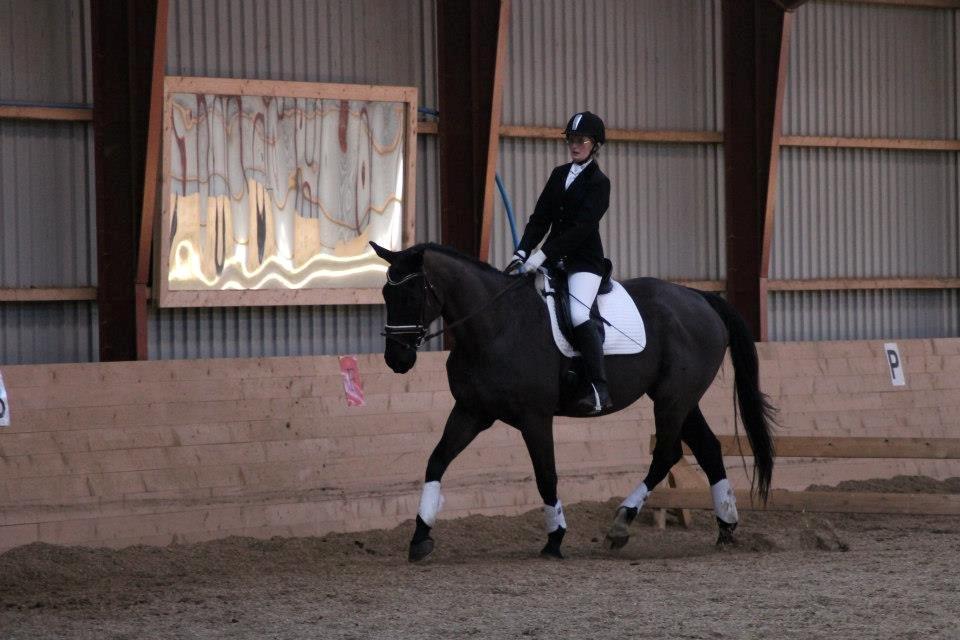 Oldenborg /Fuldblod Maki <3 - Hælene nede, hovedet op
hænderne nede, modet op
knæene ind til hestens side
ellers lærer du aldrig at ride [SSP Photo] - 3. marts 2013 billede 20