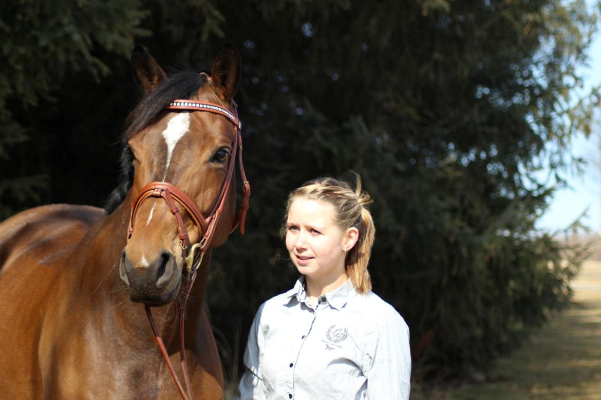 Dansk Varmblod Wolhøjgaards Palira billede 14