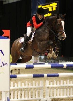 Welsh Cob (sec D) Tango - Jbk horse show, MB** 5 plads!<3  billede 17