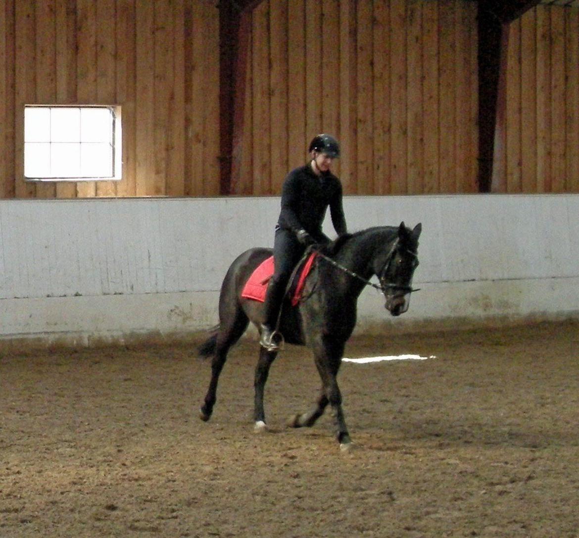 Oldenborg Anastasia billede 11