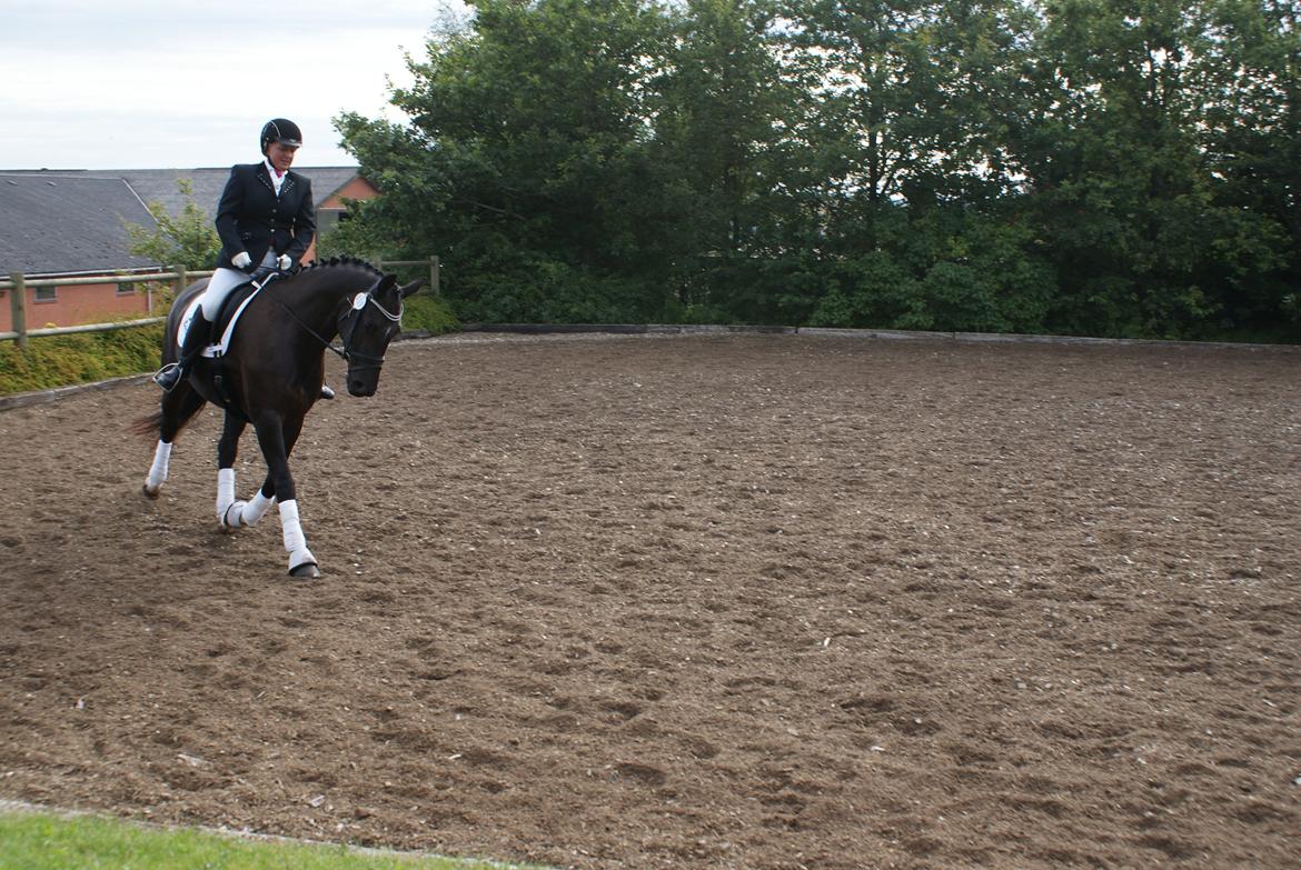 Frederiksborg Burgdorff Uma Rexetta billede 1