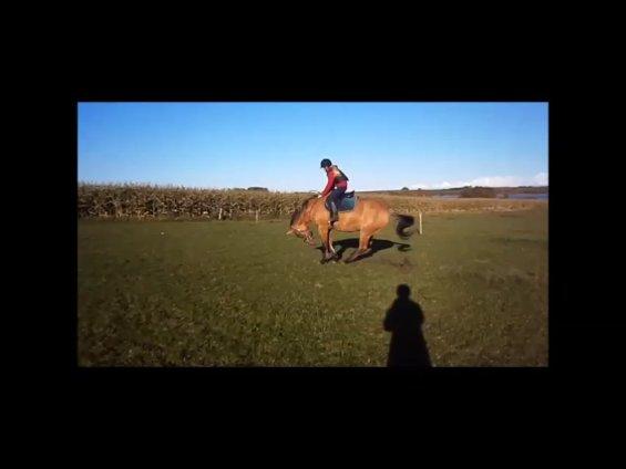 Anden særlig race Sweedy<3 - Sommer 2012 billede 3