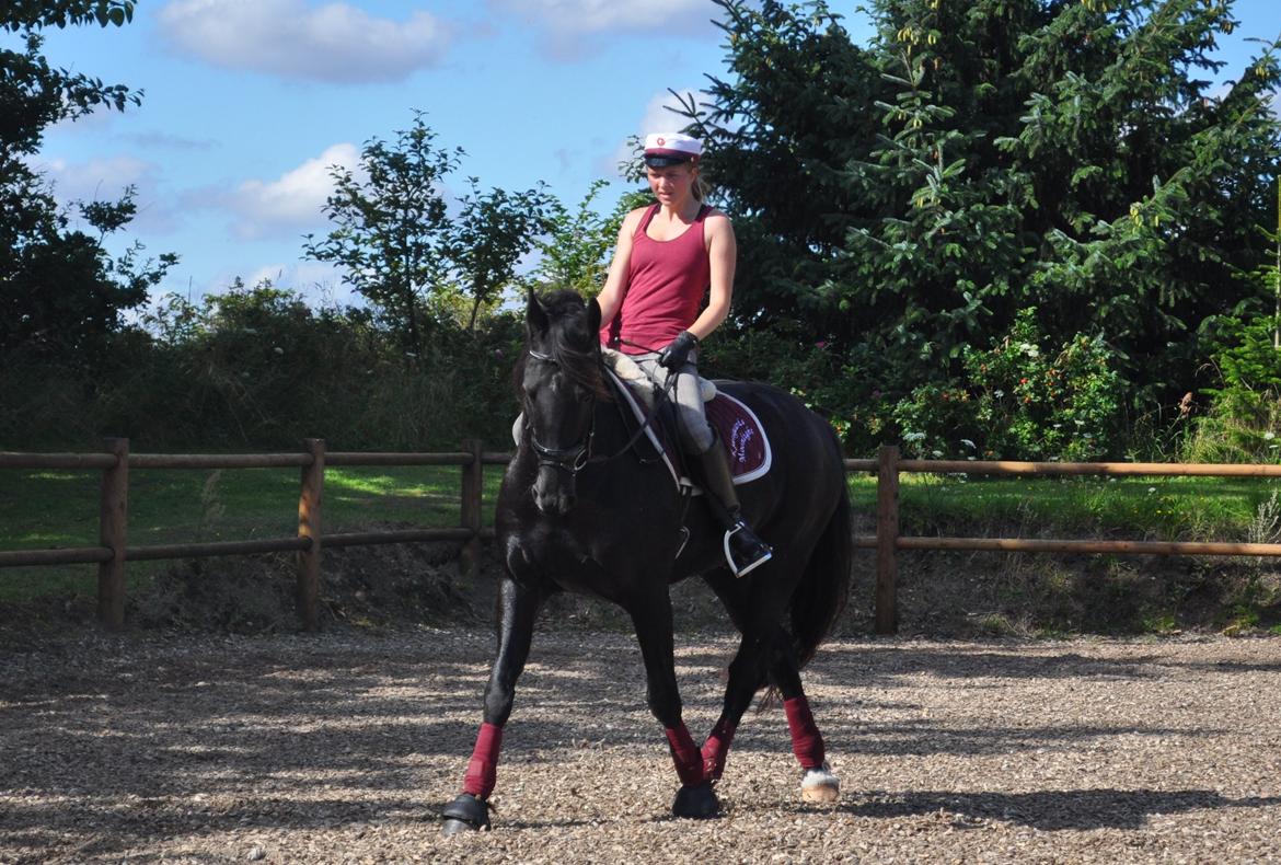 Anden særlig race KJÆRSGAARDS MOONLIGHT - Schenkelvigning d. 11. august 2012 - student ;-) billede 37