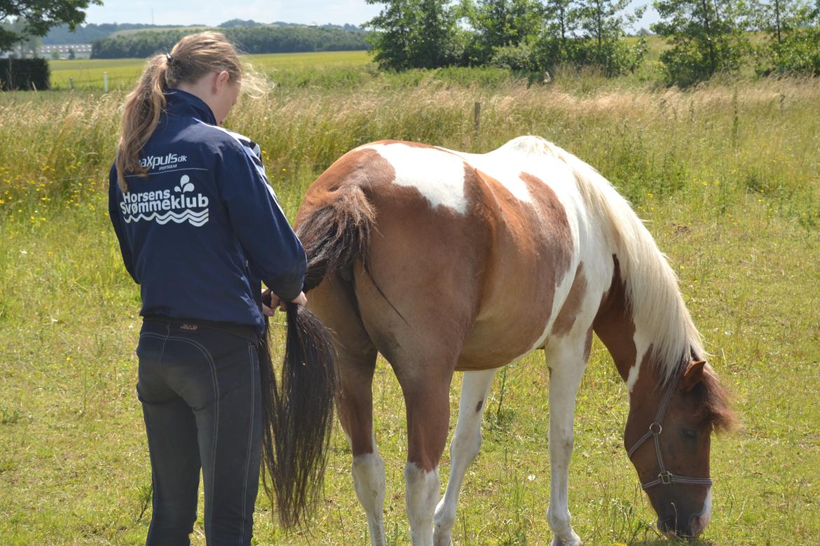 Pinto Coulermix <3 - Når enden er go' er alting godt.. 
Tak fordi i kiggede forbi, læg gerne en bedømmelse og en kommentar :D billede 15