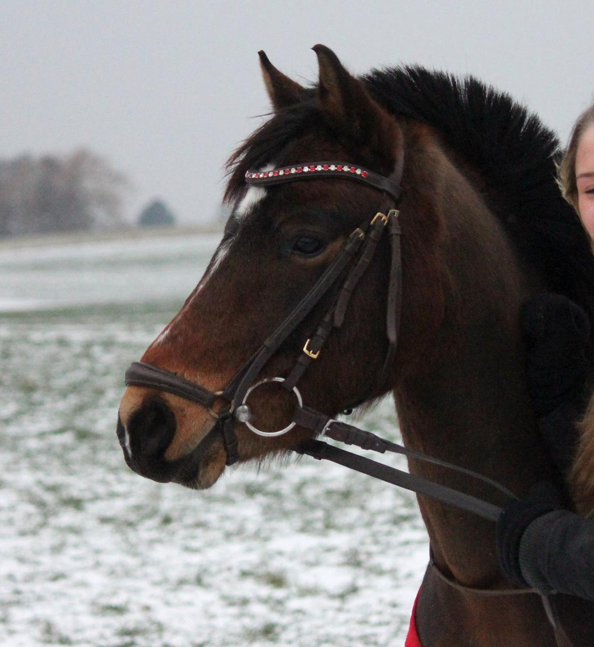 DSP Mirain Charming billede 11