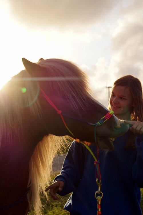 Islænder Frigg fra Fruehøj [R.I.P] - - Let a horse whisper in your ear and breathe on your heart, you will never regret it.. billede 13