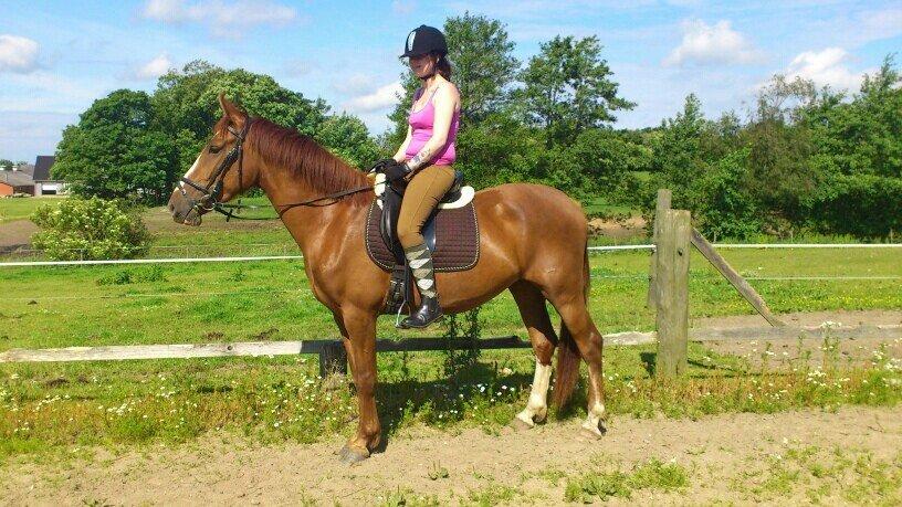 Anden særlig race Erika billede 19