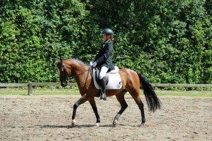 Anden særlig race Kadanza´s King billede 11