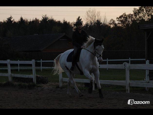 Paint Top hat - ©Josefine Madsen billede 17