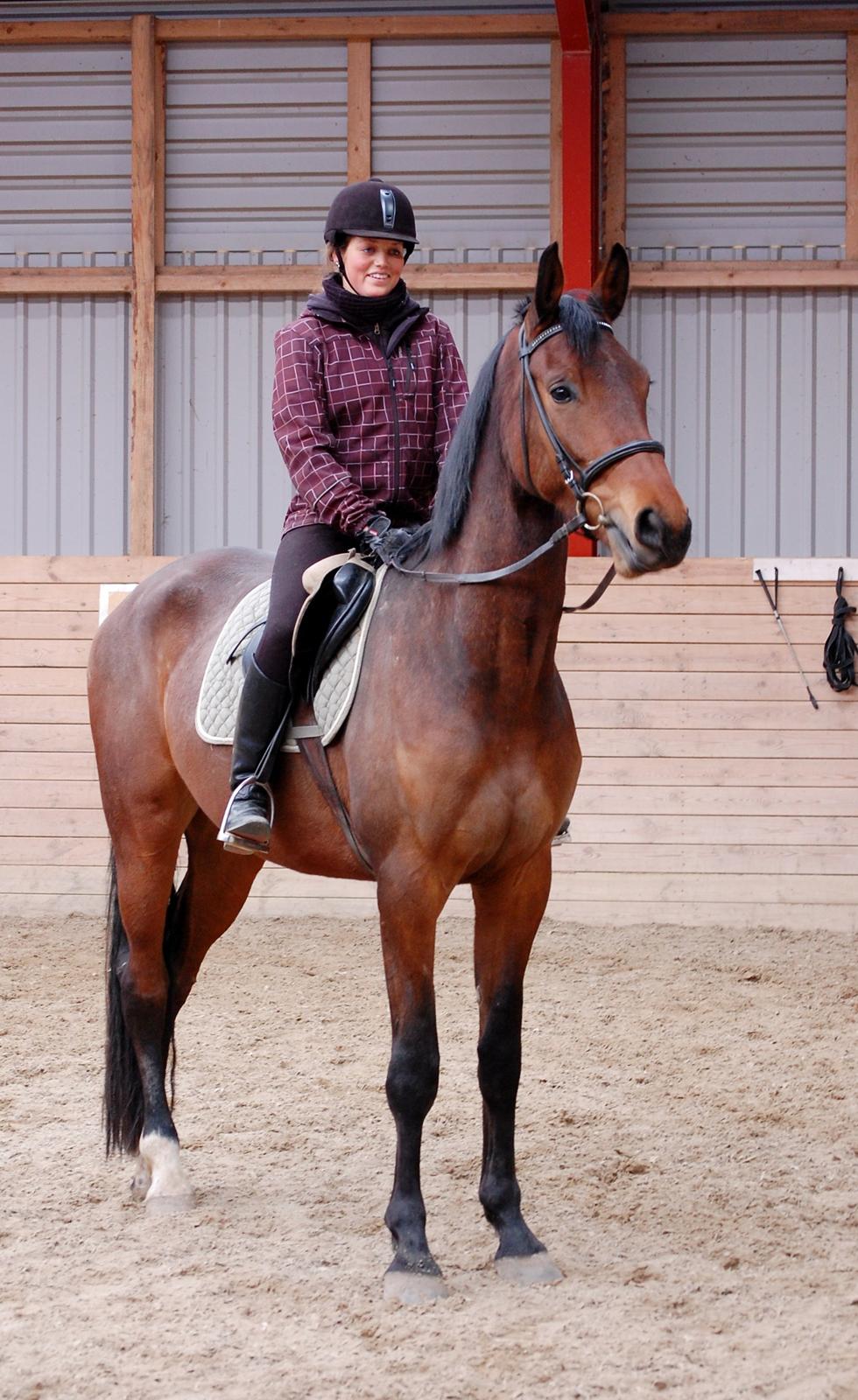 Anden særlig race Bruno Hartvig - Bruno efter 3. måneders ferie. 4 år, forår 2013 :)  billede 18