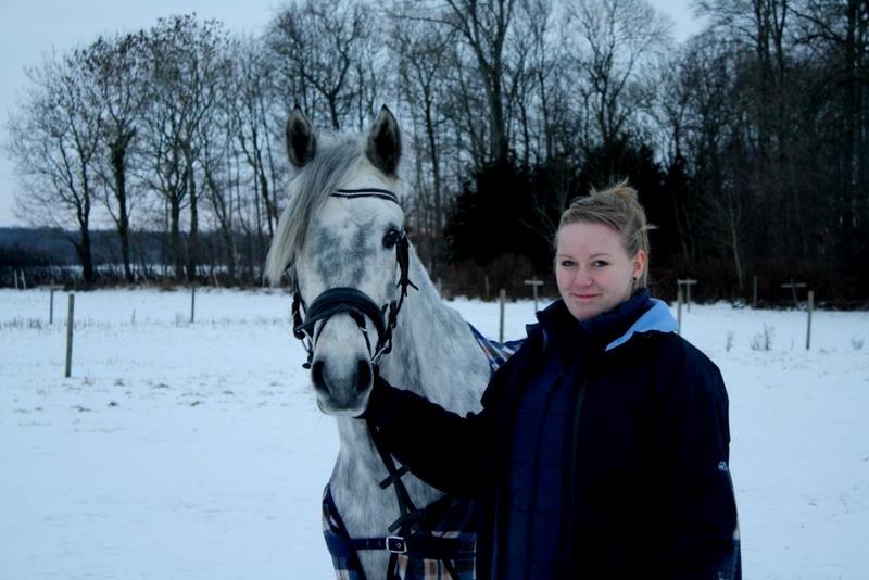 Anden særlig race Sir Grey - Vinter 2013 billede 14