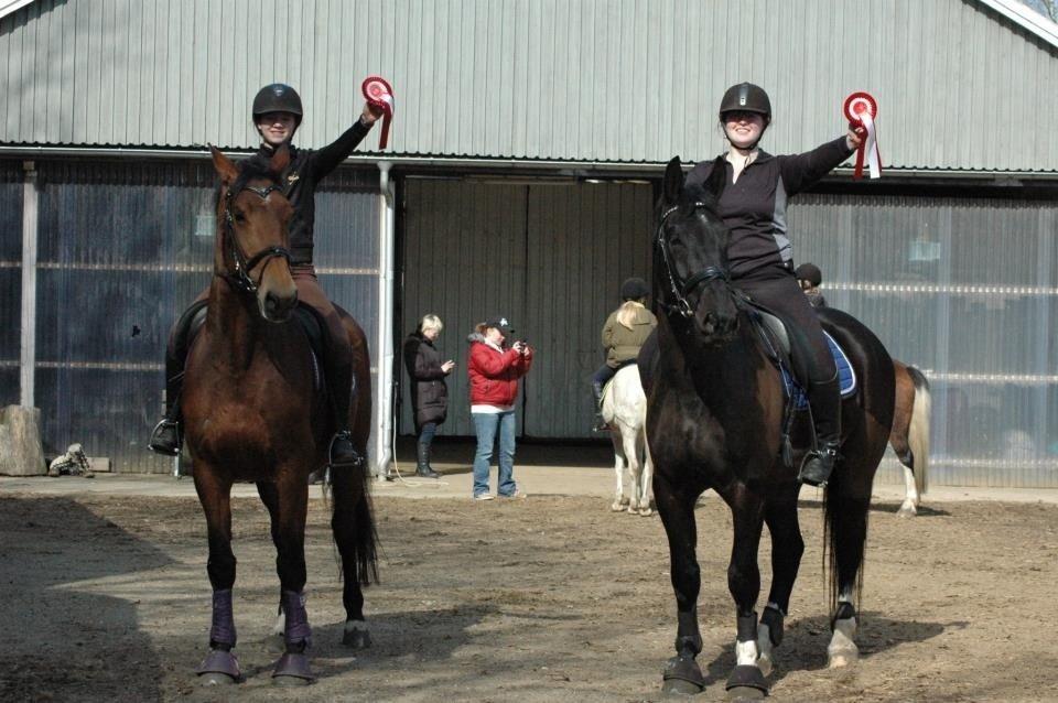 Dansk Varmblod Vestegaardens Leonora billede 12