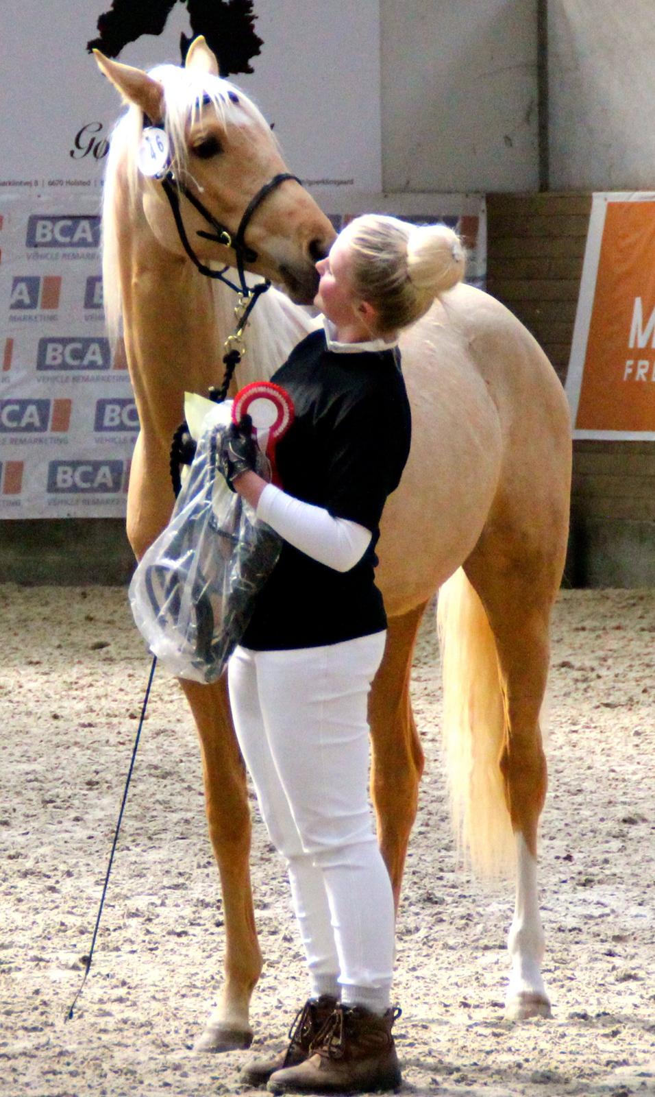 Palomino Hedegaards California Blue - Kærlighed, åh hun bliver stor <3
 billede 27