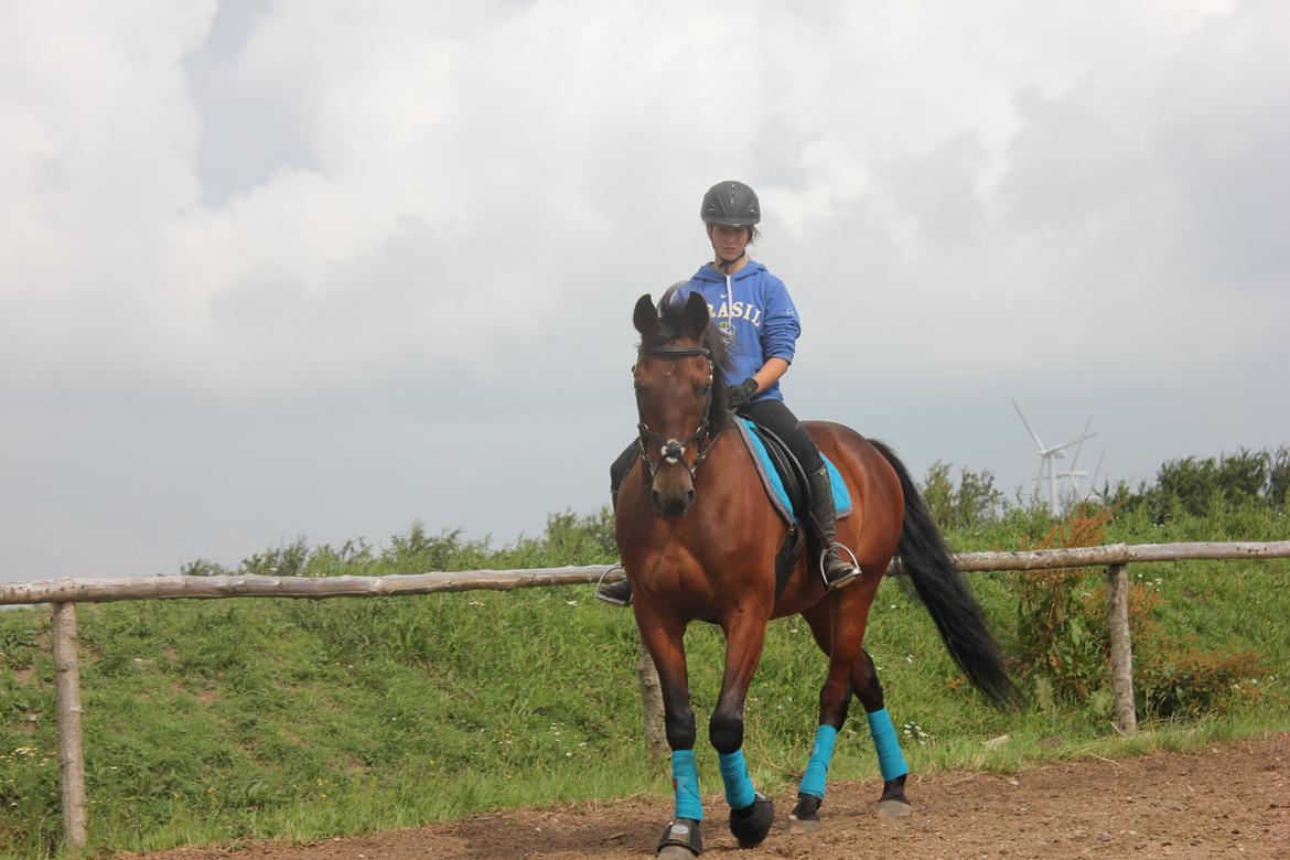 Traver Kenzo billede 9