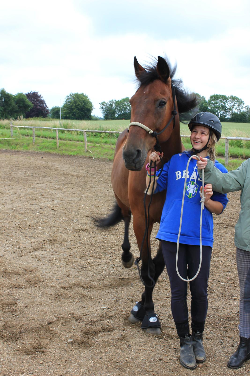Traver Kenzo - Hans første ridelejr! Han var meget opmærksom og nysgerrig i starten, men han faldt hurtigt til ro <3 billede 10