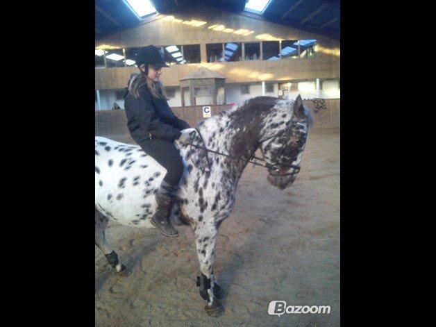 Knabstrupper plet - velkommen til plet's profil!:D
To ride a horse is to ride the sky!<3 billede 1