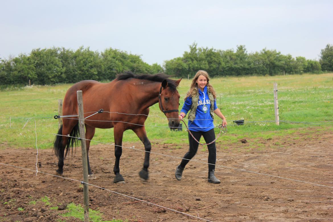 Traver Kenzo billede 12