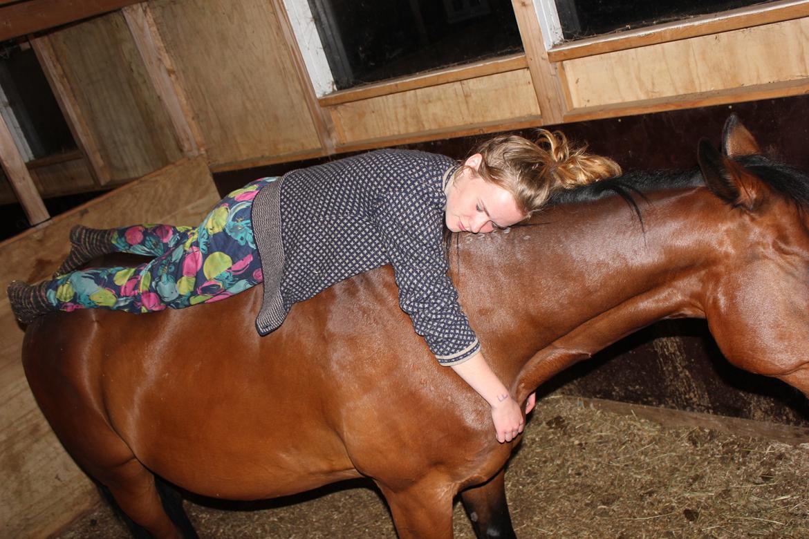 Traver Kenzo billede 14