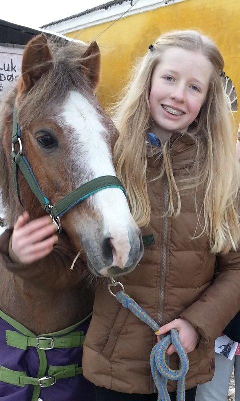 Dartmoor Skovbrynets Bastjan billede 15