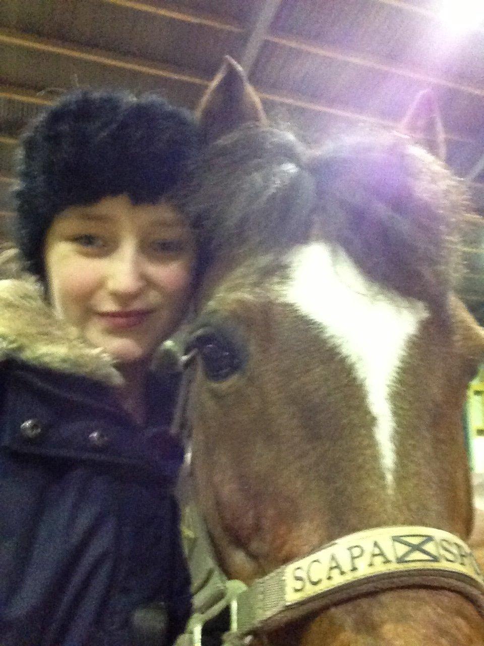 Welsh Pony af Cob-type (sec C) Miss Anton - savneeeeeer! billede 17