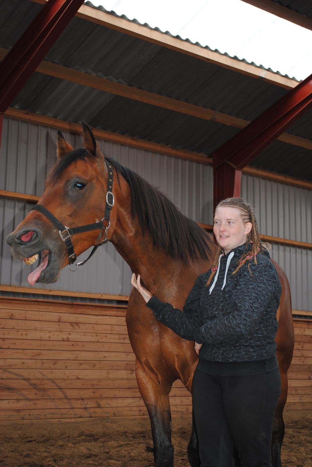 Traver Kandis V P (Candy) - Candy og mig i ridehal billede 13