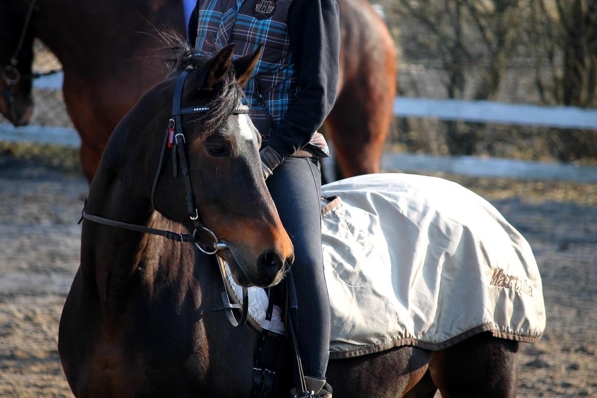 DSP Martilla (Part) billede 1