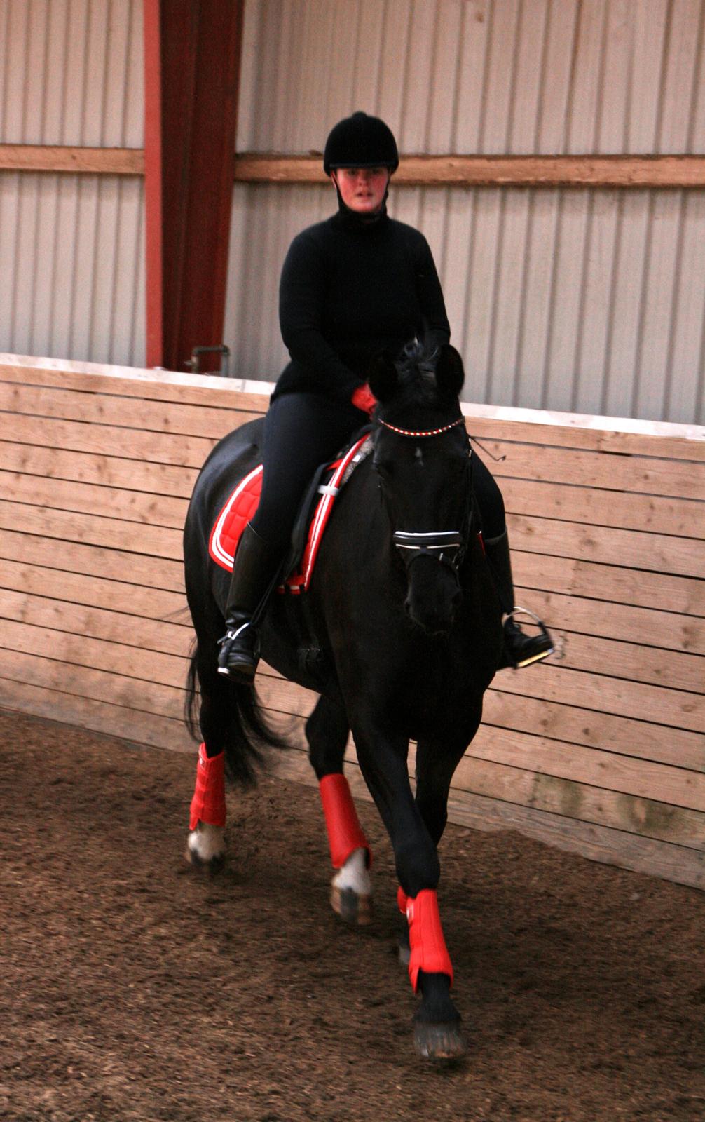 Dansk Varmblod Fruerlundens Rosita - Kursus Thomas Dolleris Larsen d. 8. april 2013 billede 15