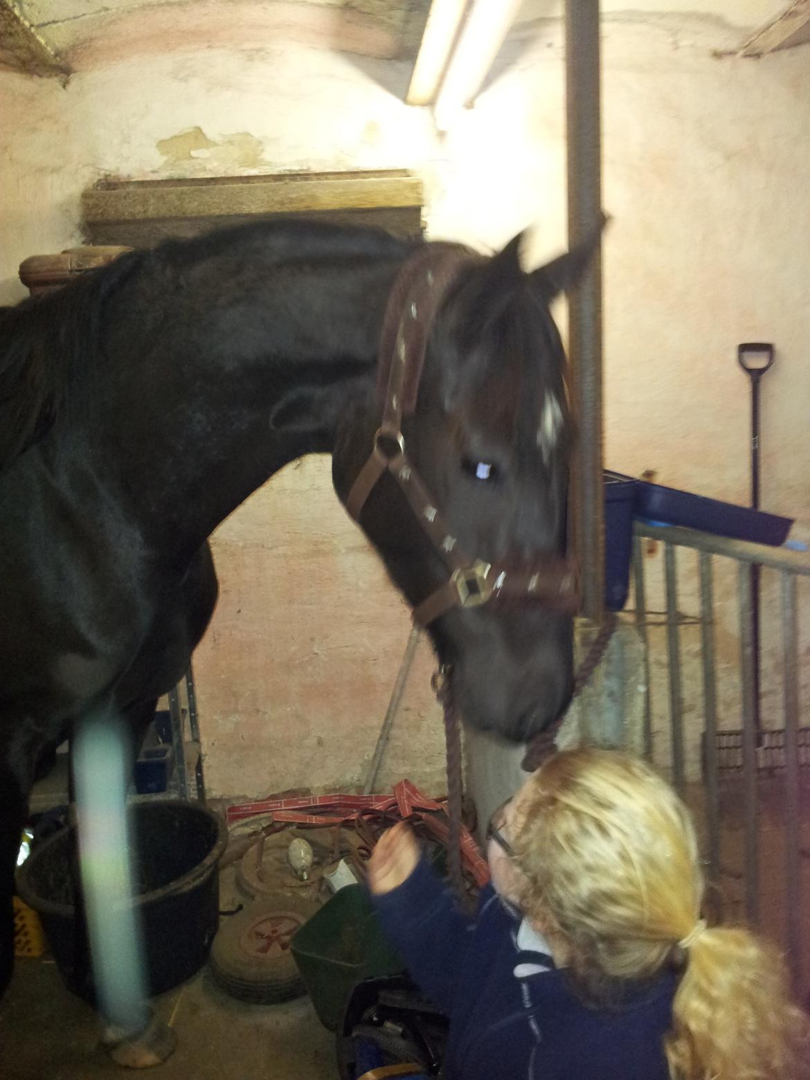 Anden særlig race Domino **soulmate** - Min lillesøsters hår duftede vidst utroligt godt ;-) billede 7