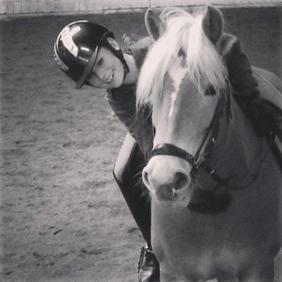 Haflinger Mille Skov - Skønne pony<3
 Fotograf: Farmor billede 6