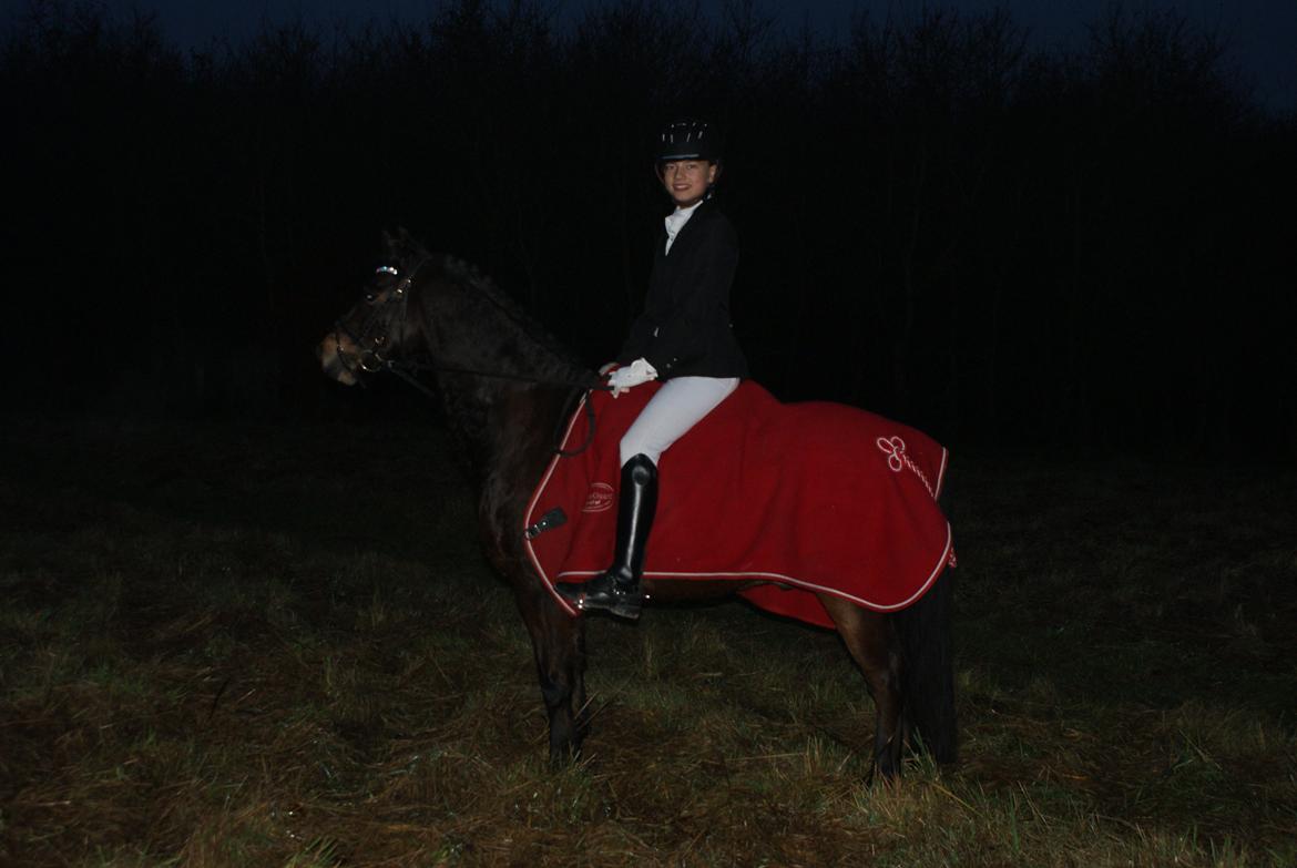 Welsh Pony (sec B) Korreborg's Sonny Boy " SOLGT" :( - Stævne i lykkeshøj hvor vi vandt en andenplas..:) billede 5