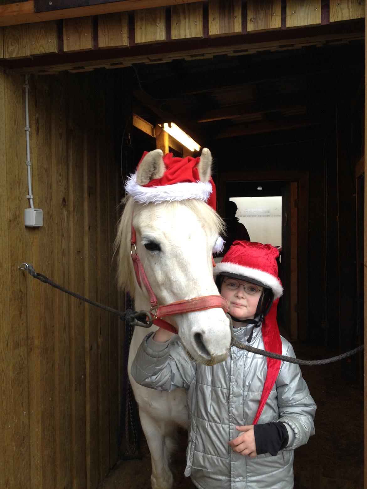 Anden særlig race Miranda billede 6