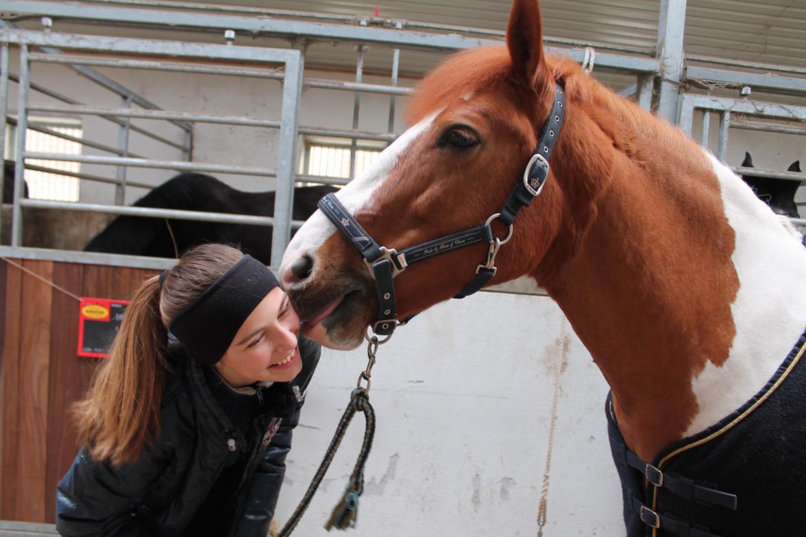 Pinto Lindholms Toniquie - 27. marts 2013 -Kys kys billede 10