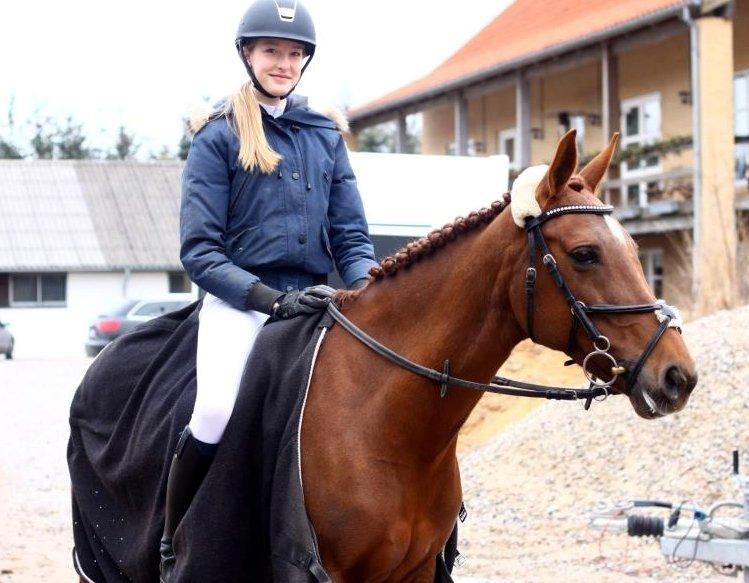 Anden særlig race Clements Penelope - 67% yai! billede 20