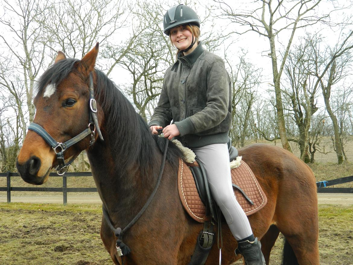 Dansk Varmblod Stenager's Remember Me - 13.04.13 - Første rigtig cordeo-ridning forsøg! Det gik super godt. billede 3