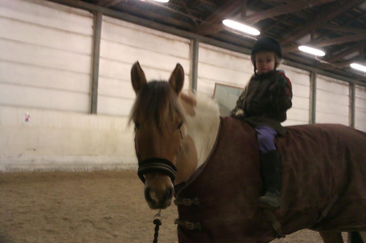 Anden særlig race Little Miss Cassie billede 8