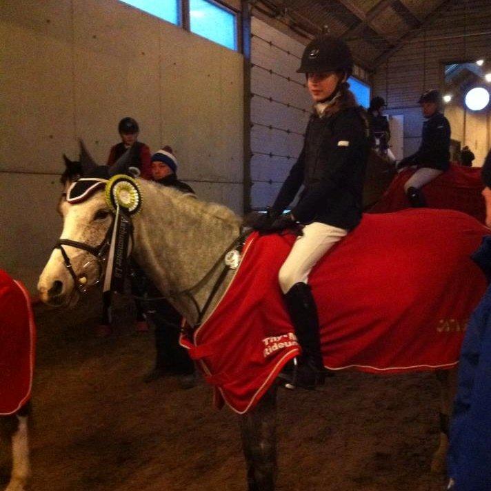 Hollandsk Sportspony Spice Girll billede 20