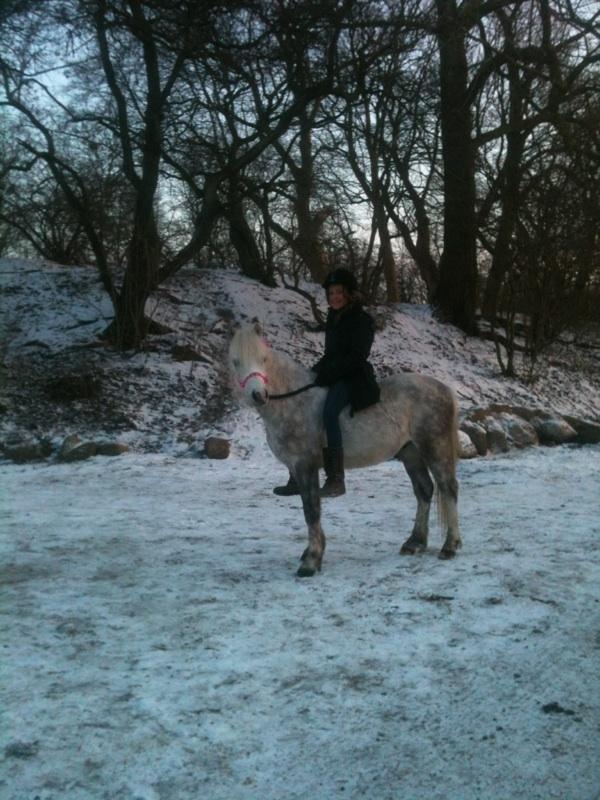 Anden særlig race Preben - Velkommen til  Dimseduttens profil <3 billede 1