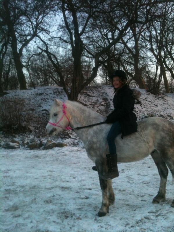 Anden særlig race Preben - Første gang vi red i rebgrime <3 billede 2