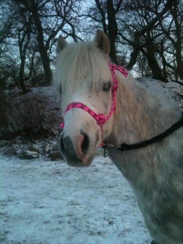Anden særlig race Preben - De andre kalder dig bøsse, jeg kalder dig smuk <3 billede 4