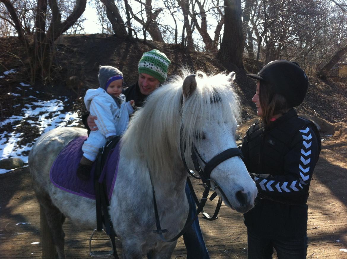 Anden særlig race Preben - Preben med min søster på ryggen, dygtige pony <3 billede 5