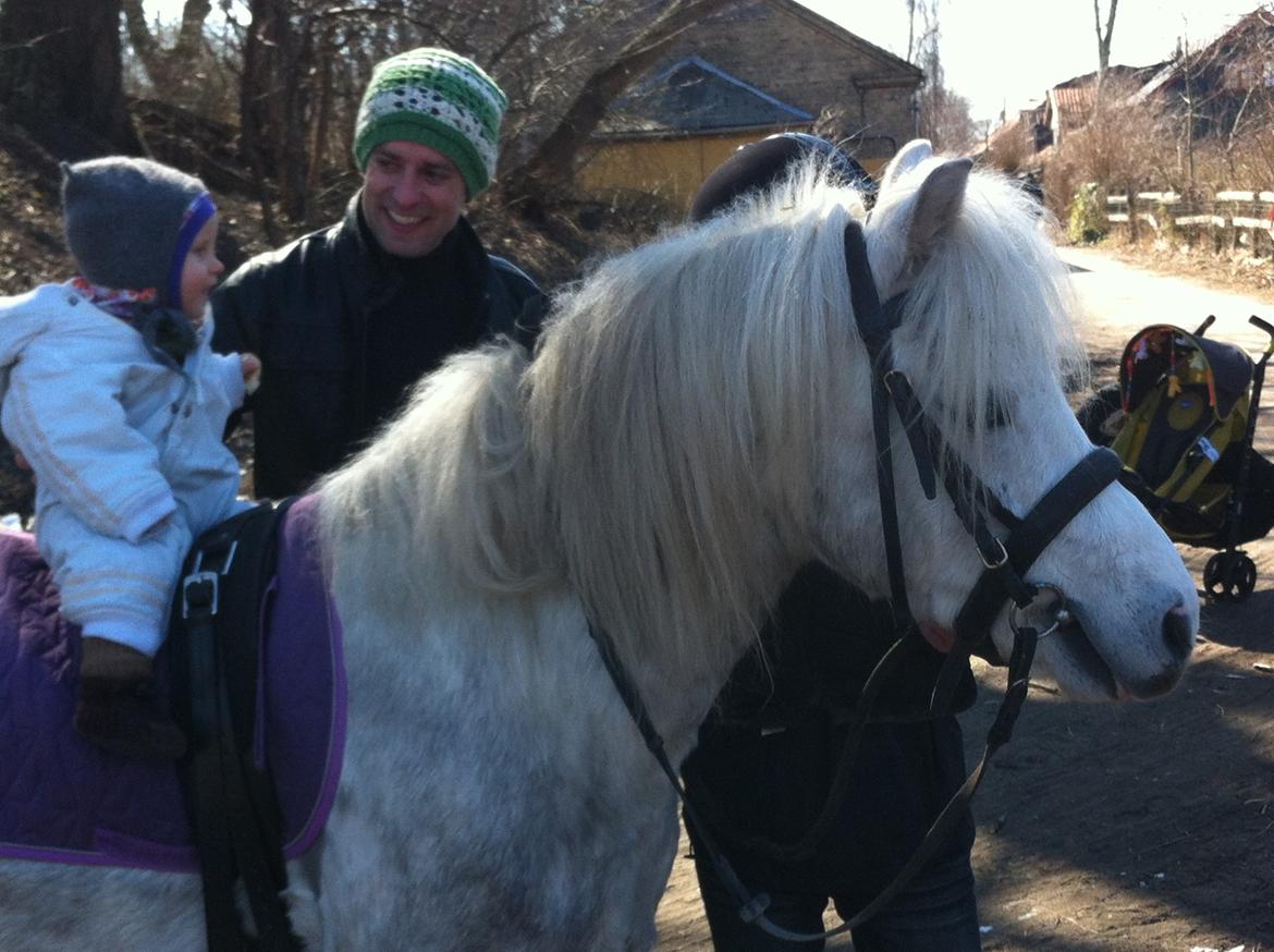 Anden særlig race Preben - I LOVE YOU <3 billede 6